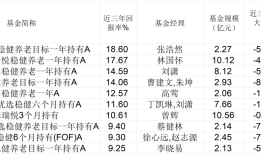 166→1650亿，数说FOF八年，“资产配置”飞入寻常百姓家|界面新闻