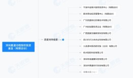 “最牛天使投资人”龚虹嘉的重整生意：继*ST开元后又介入*ST长药|界面新闻 · 证券