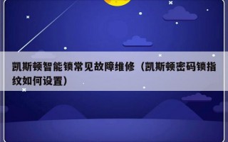 凯斯顿智能锁常见故障维修（凯斯顿密码锁指纹如何设置）