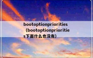 bootoptionpriorities（bootoptionpriorities下面什么也没有）