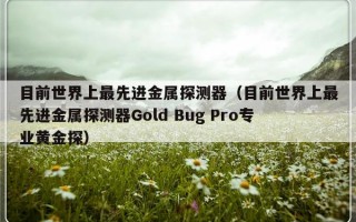 目前世界上最先进金属探测器（目前世界上最先进金属探测器Gold Bug Pro专业黄金探）