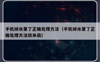手机掉水里了正确处理方法（手机掉水里了正确处理方法放米袋）