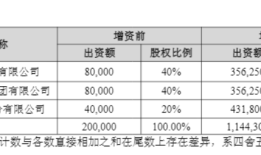 财说|负债高企下的技术豪赌：维信诺550亿押注合肥项目值不值？|界面新闻 · 证券