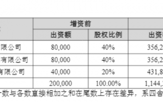 财说|负债高企下的技术豪赌：维信诺550亿押注合肥项目值不值？|界面新闻 · 证券