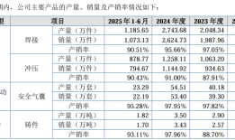 IPO雷达 | 泓毅股份六成营收依赖奇瑞，业绩高增长持续性存疑|界面新闻 · 证券