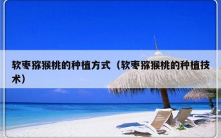 软枣猕猴桃的种植方式（软枣猕猴桃的种植技术）