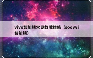 vivo智能锁常见故障维修（soovvi智能锁）