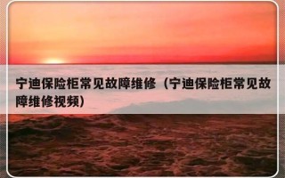 宁迪保险柜常见故障维修（宁迪保险柜常见故障维修视频）