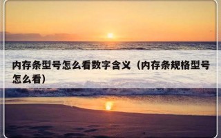 内存条型号怎么看数字含义（内存条规格型号怎么看）