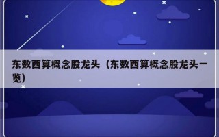 东数西算概念股龙头（东数西算概念股龙头一览）