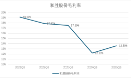 财说丨营收净利双增下重要股东减持，和胜股份有何隐忧？|界面新闻 · 证券