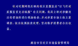 河北廊坊通报“商家以飞丝冒充羽绒服”：立案调查|界面新闻 · 快讯