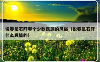 说春是石阡哪个少数民族的风俗（说春是石阡什么民族的）