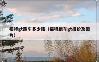 福特gt跑车多少钱（福特跑车gt报价及图片）