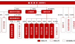 国投证券总经理王苏望出任董事长|界面新闻