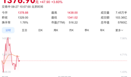 寒武纪总市值一度突破6000亿，首次实现半年度盈利|界面新闻 · 科技