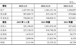 财说| 虽然股价连续涨停，但滨海能源的并购有这些隐忧|界面新闻 · 证券