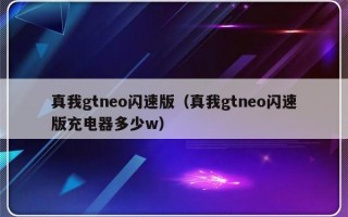 真我gtneo闪速版（真我gtneo闪速版充电器多少w）