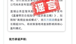 股价重挫20%！东方甄选辟谣市场传闻，相关高管仅在新东方任职|界面新闻 · 科技