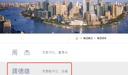 执掌关键金融国资平台，东方证券原董事长履新上海国际集团总裁，有何深意？|界面新闻