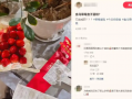 草莓蛋糕被指“咸得发苦”，盒马客服：已在第一时间完成排查和调整|界面新闻
