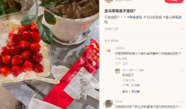 草莓蛋糕被指“咸得发苦”，盒马客服：已在第一时间完成排查和调整|界面新闻