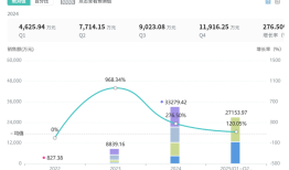 罗欣药业定增八亿押注创新药|界面新闻