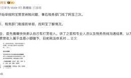网红医生“烧伤超人阿宝”被举报，补缴税款及滞纳金超80万元|界面新闻