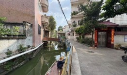 实探佛山基孔肯雅热疫情：患者病程约7天，闲置房成蚊虫消杀关键点|界面新闻