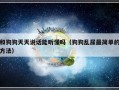 和狗狗天天说话能听懂吗（狗狗乱尿最简单的方法）