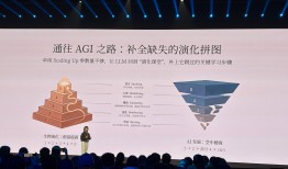 小米大模型负责人罗福莉首秀：算力和数据也并非最后的护城河|界面新闻 · 科技