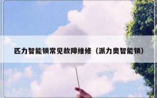 匹力智能锁常见故障维修（派力奥智能锁）