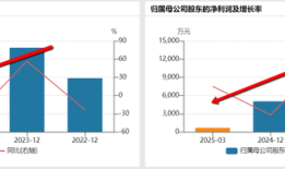 财说|稳定币新分支火爆出圈，上海物贸四连板，RDA究竟能带来什么？|界面新闻 · 证券