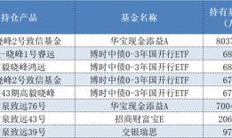 200多家私募出手买基金，哪些产品类型最受百亿“大佬”青睐？|界面新闻
