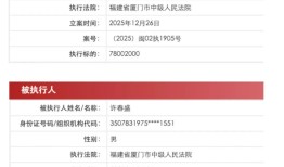 铂爵旅拍及实控人许春盛再被执行7800万，后者名下18家公司已注销|界面新闻