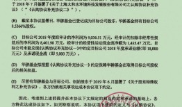 【深度】太和水内斗背后：IPO“抽屉协议”始末|界面新闻 · 证券