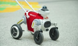 机器人、光模块、芯片，AI企业为何扎堆在广州这个区？|界面新闻