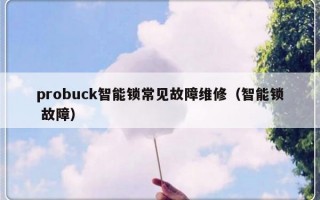 probuck智能锁常见故障维修（智能锁 故障）