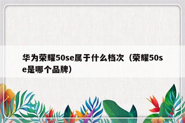 华为荣耀50se属于什么档次（荣耀50se是哪个品牌）-第1张图片-乐修号