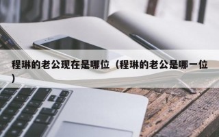 程琳的老公现在是哪位（程琳的老公是哪一位）