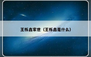 王栎鑫家世（王栎鑫是什么）