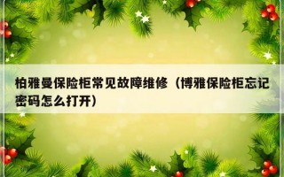 柏雅曼保险柜常见故障维修（博雅保险柜忘记密码怎么打开）