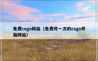 免费csgo网站（免费开一次的csgo开箱网站）