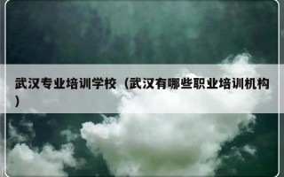 武汉专业培训学校（武汉有哪些职业培训机构）