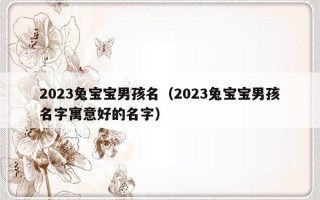 2023兔宝宝男孩名（2023兔宝宝男孩名字寓意好的名字）