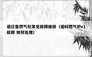 诺仕普燃气灶常见故障维修（诺科燃气炉e1故障 如何处理）