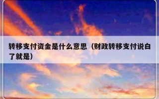 转移支付资金是什么意思（财政转移支付说白了就是）