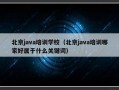 北京java培训学校（北京java培训哪家好属于什么关键词）