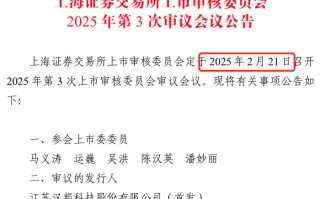IPO雷达｜药明系投资的汉邦科技将上会：专利诉讼未了，成倍扩增产能如何消化？|界面新闻 · 证券