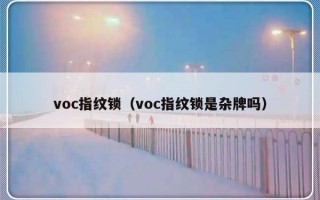 voc指纹锁（voc指纹锁是杂牌吗）